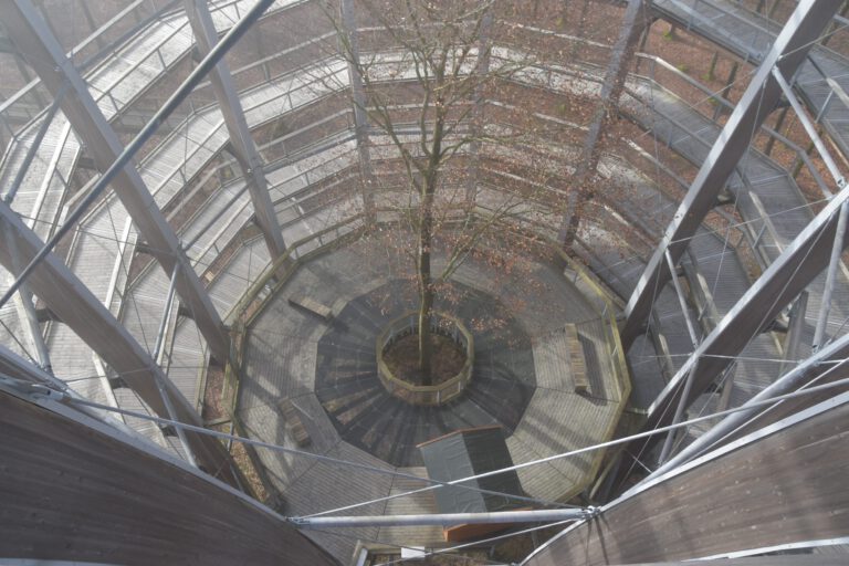 Das Bild zeigt einen Baumwipfelpfad, der sich spiralförmig um einen zentralen Baum nach oben windet. Die Konstruktion besteht aus mehreren Ebenen mit Geländern und wird von Metallträgern gestützt. Der zentrale Baum ist fast kahl, was auf Herbst oder Winter hinweist.