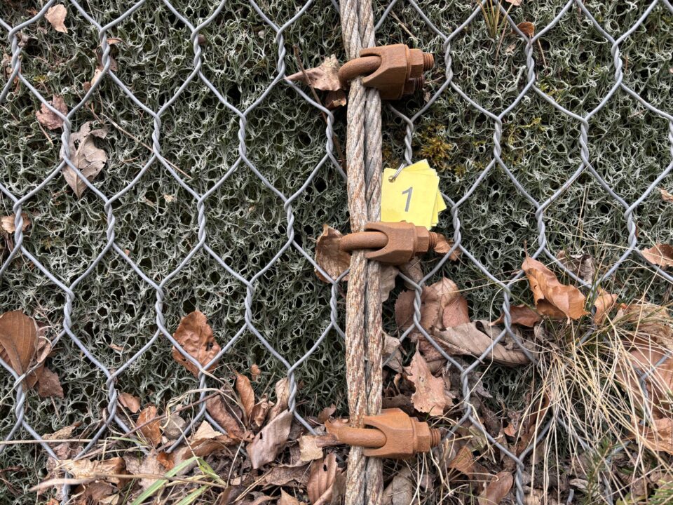 Das Bild zeigt ein Detail einer Sicherungskonstruktion an einer Felswand. Ein dickes Stahlseil verläuft senkrecht durch ein Drahtnetz und ist mit mehreren massiven Seilklemmen fixiert. Daneben befindet sich ein gelbes Markierungsschild mit einer Zahl, um die Position zu kennzeichnen. Im Hintergrund sind Moos, trockene Blätter und Gestein sichtbar, was auf eine natürliche Umgebung hinweist.