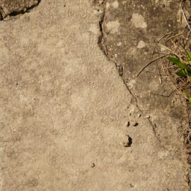 Nahaufnahme einer verwitterten und rissigen Betonoberfläche mit Ausbrüchen. Rechts wachsen Gras und kleine Pflanzen aus den Fugen.