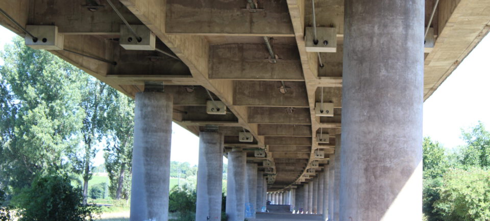 Das Bild zeigt die Unterseite einer großen Betonbrücke, die von mehreren runden Pfeilern getragen wird. Die Perspektive verläuft unter der Brücke entlang, umgeben von Bäumen und Sträuchern.