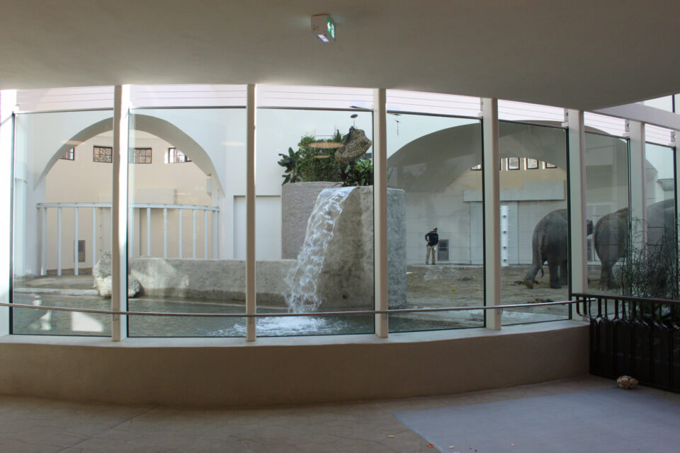 Innenaufnahme Elefantengehege mit Wasserfall, der über eine Steinkonstruktion in ein Becken fließt; im Hintergrund eine Person und zwei Elefanten von hinten sowie architektonische Elemente wie Bögen und Säulen, sichtbar durch große Glasfenster.