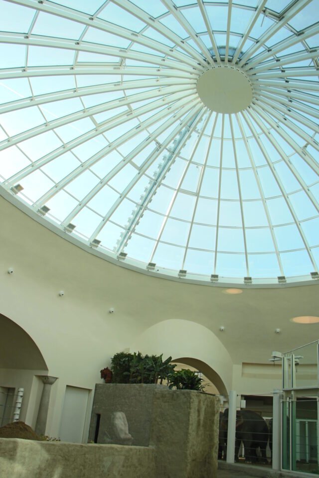 Innenraum eines Gebäudes mit großer, kreisförmiger Glaskuppel, getragen von weißen Trägern, die strahlenförmig vom Zentrum ausgehen; darunter architektonische Elemente, Pflanzen und ein Gehege mit zwei Elefanten, Felsen und natürlichen Elementen.