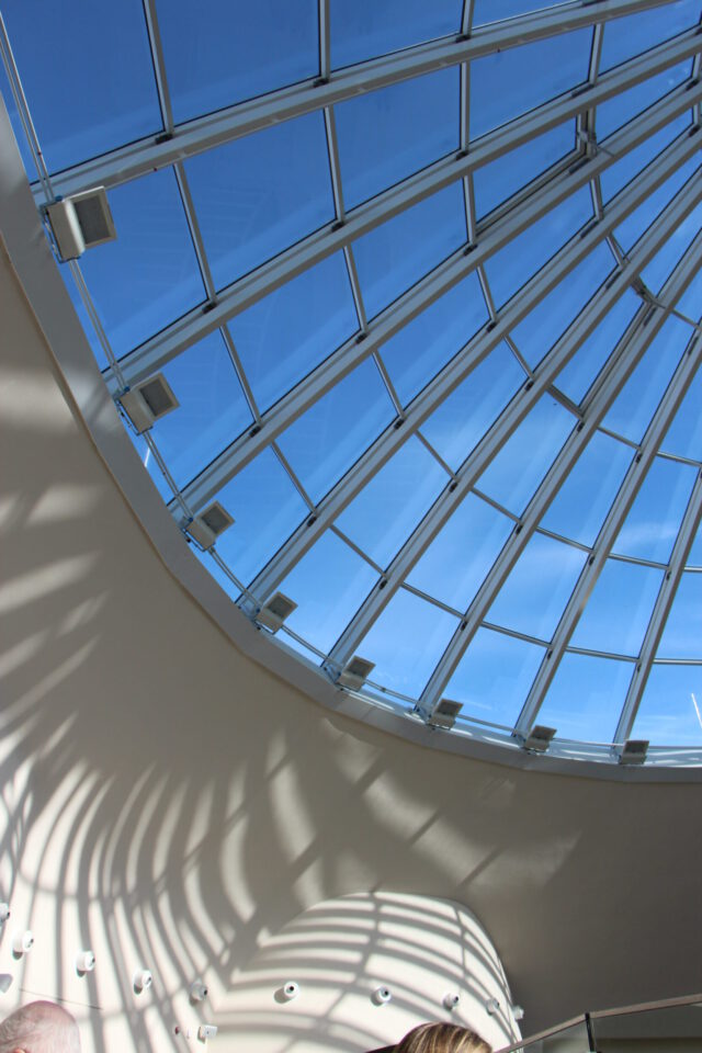 Großes, gebogenes Glasdach mit gitterförmigem Metallträgernetz, das Tageslicht in den Innenraum lässt und Schatten auf die darunterliegenden Wände wirft.