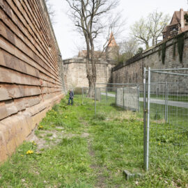 Ein Abschnitt der Nürnberger Stadtmauer mit zwei parallelen Steinmauern und einem grasbewachsenen Weg dazwischen; eine Person geht entlang des Weges, rechts ist ein Metallzaun zu sehen, im Hintergrund stehen Bäume und ein historisches Gebäude mit roten Ziegeldächern.