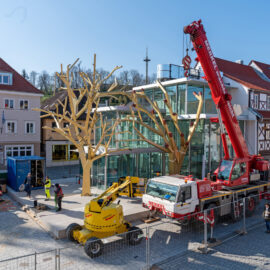 Das Bild zeigt eine Baustelle in einem städtischen Umfeld mit mehreren Bauarbeitern und Maschinen. Zwei große, künstliche Baumstrukturen werden mithilfe roter Kräne vor einem modernen Glasgebäude installiert. Im Vordergrund steht ein gelber Hubsteiger, und im Hintergrund sind Fachwerkhäuser mit traditioneller europäischer Architektur zu sehen.