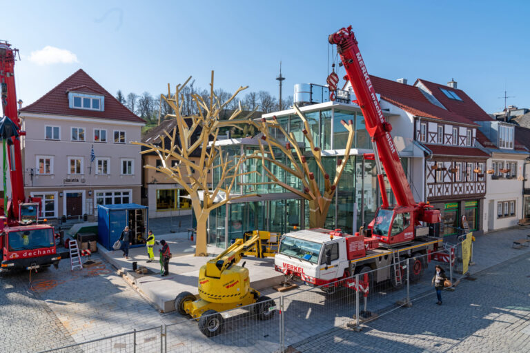 Das Bild zeigt eine Baustelle in einem städtischen Umfeld mit mehreren Bauarbeitern und Maschinen. Zwei große, künstliche Baumstrukturen werden mithilfe roter Kräne vor einem modernen Glasgebäude installiert. Im Vordergrund steht ein gelber Hubsteiger, und im Hintergrund sind Fachwerkhäuser mit traditioneller europäischer Architektur zu sehen.