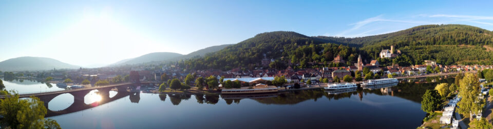 Das Bild zeigt eine Panoramaansicht einer malerischen Stadt am Fluss mit zahlreichen Gebäuden und roten Ziegeldächern. Links überspannt eine steinerne Bogenbrücke den Fluss, rechts liegen zwei große weiße Boote am Ufer. Im Hintergrund sind bewaldete Hügel und ein klarer blauer Himmel mit leichten Wolken zu sehen.