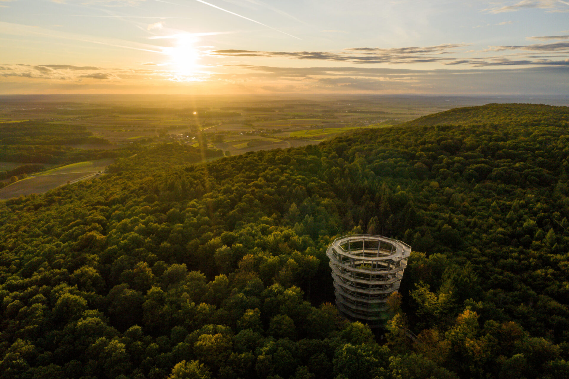 Das Bild zeigt einen dichten Wald mit einem großen, runden Aussichtsturm, der über die Baumwipfel hinausragt. Im Hintergrund geht die Sonne unter und taucht die Landschaft in warmes, goldenes Licht. Am Horizont sind Felder und entfernte Hügel zu erkennen.