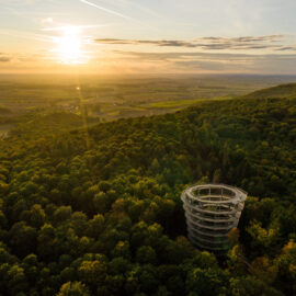 Das Bild zeigt einen dichten Wald mit einem großen, runden Aussichtsturm, der über die Baumwipfel hinausragt. Im Hintergrund geht die Sonne unter und taucht die Landschaft in warmes, goldenes Licht. Am Horizont sind Felder und entfernte Hügel zu erkennen.