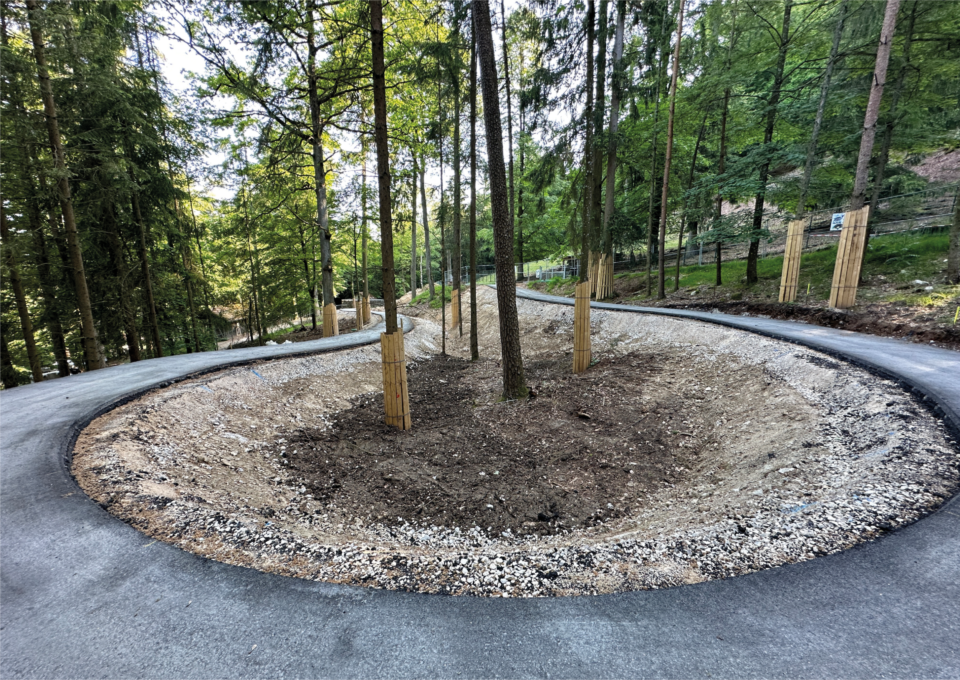 Das Bild zeigt einen geschwungenen, geteerten Weg, der durch ein bewaldetes Gebiet führt. In der Mitte des Weges befindet sich eine von Holzschutzvorrichtungen umgebene Bauminsel. Die Umgebung ist dicht mit hohen Bäumen und viel Grün bewachsen.