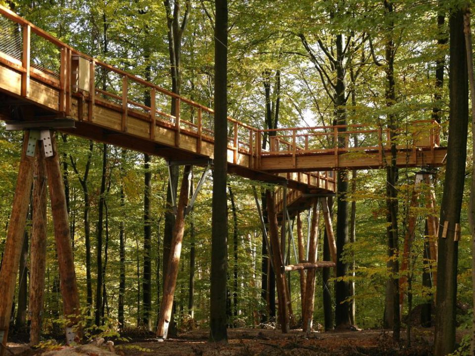 Das Bild zeigt einen hölzernen Steg, der erhöht durch einen Wald führt und von hohen Holzpfeilern getragen wird. Der Weg ist beidseitig mit Geländern gesichert und scheint Teil eines größeren Netzwerks zu sein, etwa für Naturbeobachtung oder einen Erlebnispark. Umgeben ist die Anlage von dichtem Baumbestand und Laub am Waldboden.