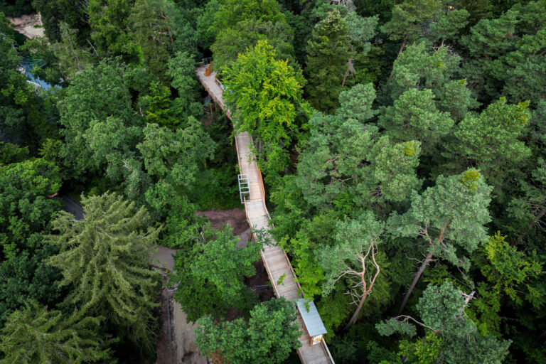 Das Bild zeigt eine Luftaufnahme eines hölzernen Stegs oder einer Brücke, die sich durch einen dichten, grünen Wald schlängelt. Der Steg ist erhöht und ermöglicht Spaziergänge in Höhe der Baumwipfel. Menschen oder Tiere sind nicht zu sehen.