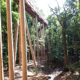 Das Bild zeigt einen hölzernen, erhöhten Steg, der von hohen Holzpfeilern getragen wird und sich durch einen dichten Wald zieht. Der Steg verläuft in großer Höhe über dem Waldboden, durch das Blätterdach fällt Sonnenlicht und erzeugt Licht- und Schattenmuster. Menschen oder Tiere sind nicht zu sehen.