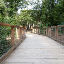 Das Bild zeigt einen hölzernen Steg mit Geländern auf beiden Seiten, der sich durch einen grünen, bewaldeten Bereich zieht. Der Steg ist leicht über dem Boden erhöht und führt in Richtung einiger Strukturen im Hintergrund. Die Umgebung ist dicht bewachsen mit Bäumen und Pflanzen.