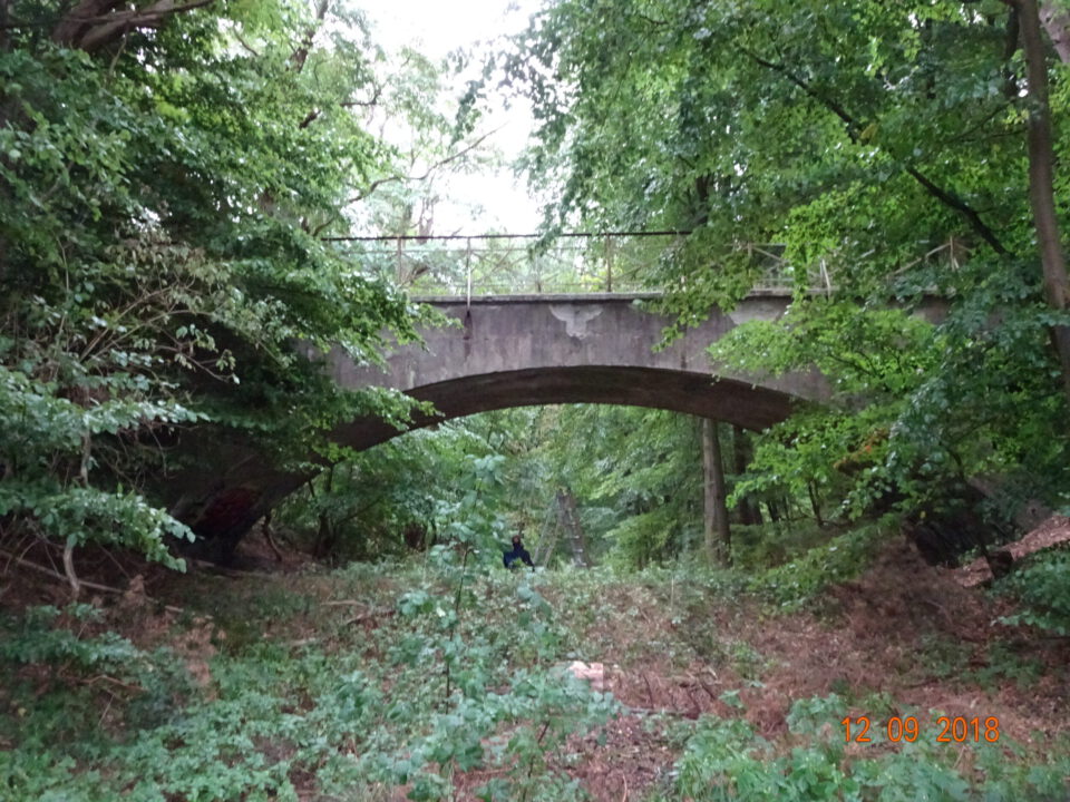 Das Bild zeigt eine Betonbogenbrücke in einem bewaldeten Gebiet mit Metallgeländern auf der Oberseite. Unter der Brücke ist eine Person in der Ferne zu erkennen, und der Boden ist mit Gras, Büschen und Laub bedeckt. Die Umgebung ist von dichter grüner Vegetation umgeben.