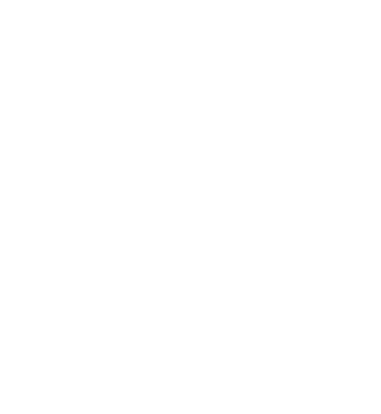 technischen Veranschaulichung der Brückenkonstruktion.