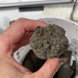 Das Bild zeigt eine Nahaufnahme einer Hand, die einen nassen, grauen Erd- oder Schlammklumpen hält. Im Hintergrund steht ein weißer Behälter mit weiteren ähnlichen Erdklumpen.