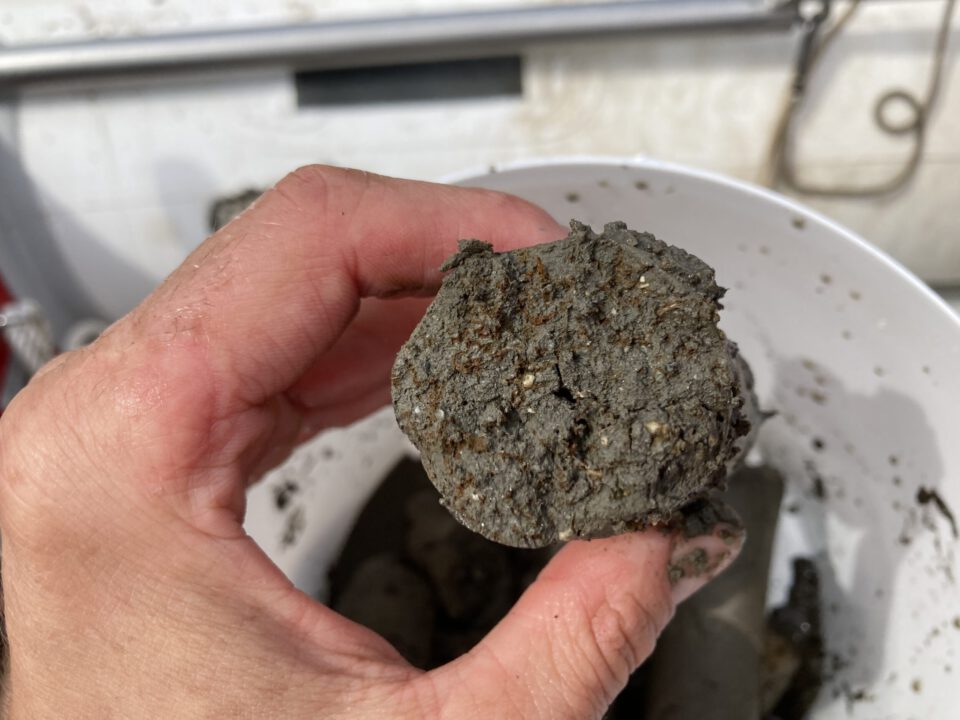Das Bild zeigt eine Nahaufnahme einer Hand, die einen nassen, grauen Erd- oder Schlammklumpen hält. Im Hintergrund steht ein weißer Behälter mit weiteren ähnlichen Erdklumpen.