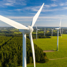 Das Bild zeigt einen Windpark mit mehreren großen Windrädern, die in einer grünen, grasbewachsenen Landschaft stehen. Die Windräder sind über das Feld verteilt, im Hintergrund sind einige Bäume zu sehen. Der Himmel ist klar und blau, was auf einen sonnigen Tag hinweist.